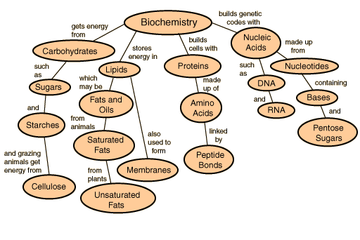 Gene Concept Map
