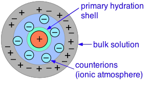 ionic atmosphere counterions