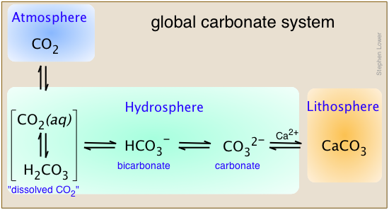 global carbonate system