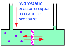 osmotic pressure