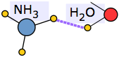 ammonia-water hydrogen bonding